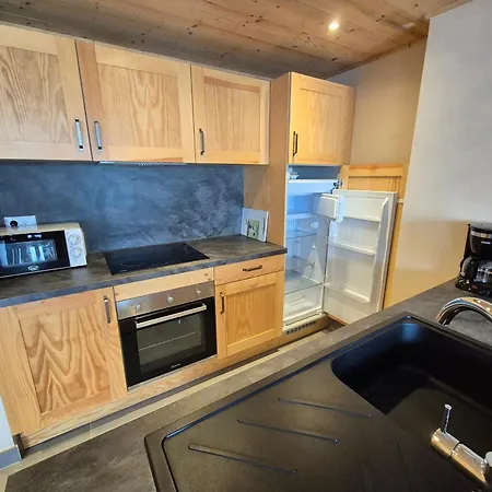 Apartment Neuf Lumineux, 250m Pistes, Balcon, Animaux Admis - Fr-1-811-23 *